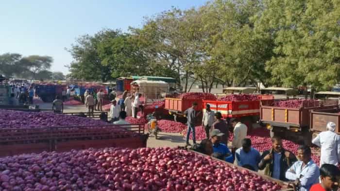  Onion prices rise by 20% after heavy rains in Maharashtra 