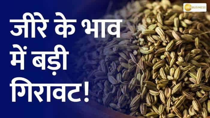 Commodity Live: Today cumin fell by more than 5%, price on NCDEX slipped to 26300