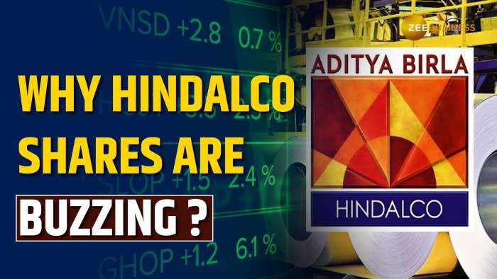 Hindalco Shares Soars 5% as Subsidiary Novelis Files for IPO In US | Stock Market News