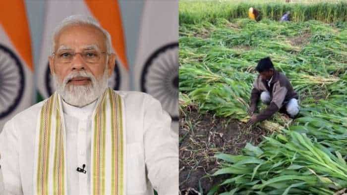  PM Kisan Yojana 16th installment date: Confirmed! PM Narendra Modi to release fund on this date | Check details 