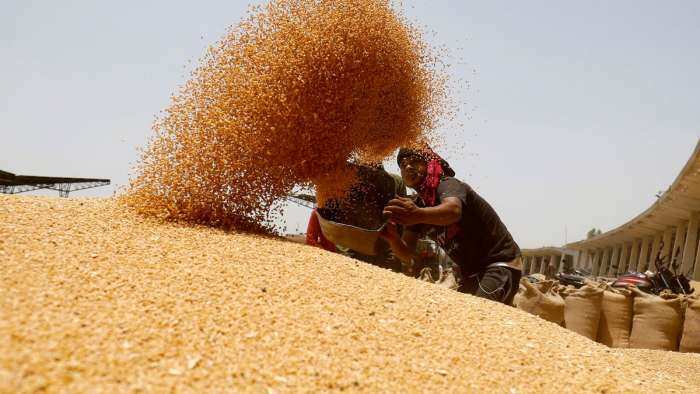 Centre issues order on wheat stock declaration by traders to keep prices in check