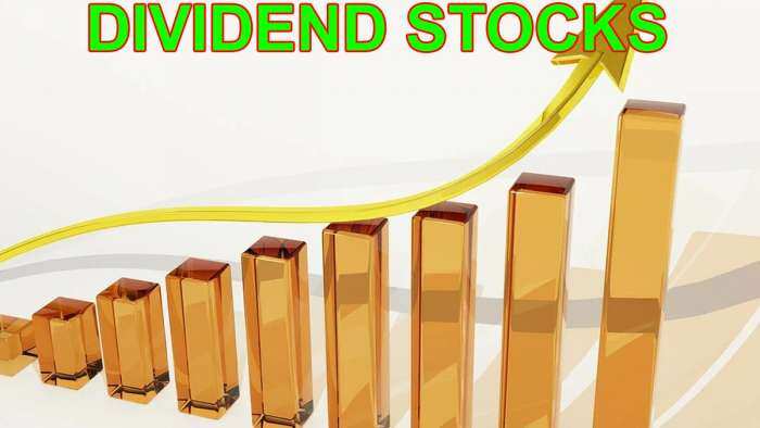 dividend stocks 2024 april list SH Kelkar goodluck india mold tek ex date record date share price nse 