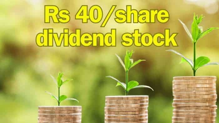 Rs 40/share dividend: This small-cap hospital stock to trade ex-date next week; shares have grown 100% in 1 month