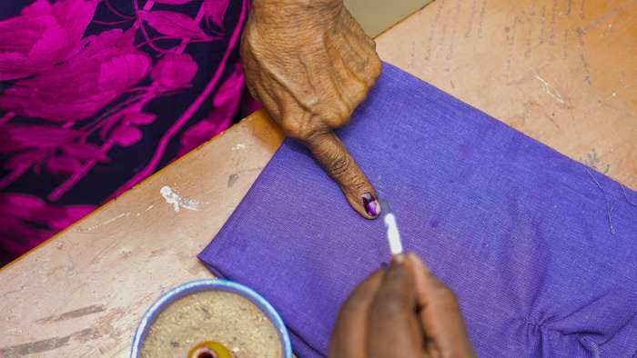 Lok Sabha elections 2024: States with highest voter turnout in phase 1 of voting