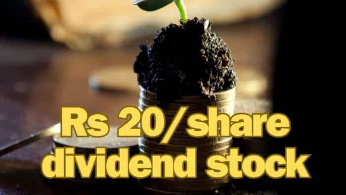 Rs 20/share dividend stock: IndiaMART InterMESH announces payout—check out record date