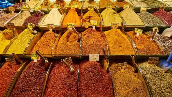 15 tonnes adulterated spices seized in Delhi, two arrested: Delhi Police
