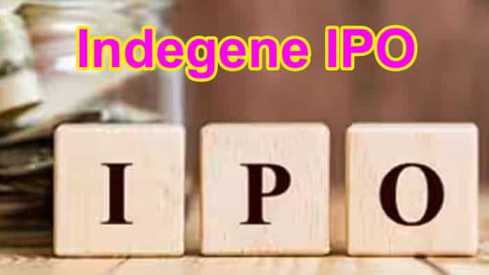 Indegene IPO: Check subscription open date, lot size, allotment date and other details