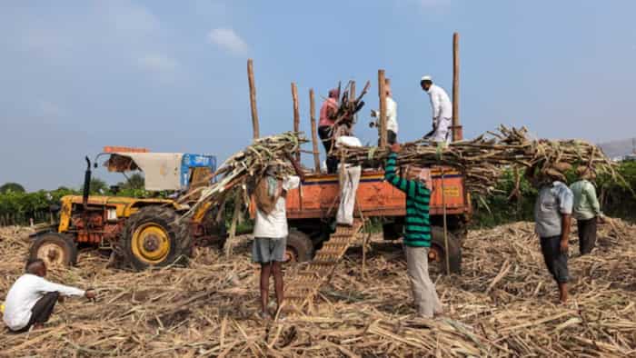 Sugar production in March meets ISMA expectations, sugar body targets two million tonnes exports