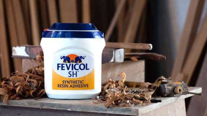  Should you buy, sell or hold Fevicol glue maker's stock after mixed Q4 show?  