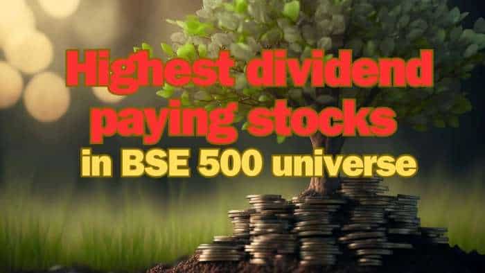 Highest dividend paying stocks in BSE 500 universe