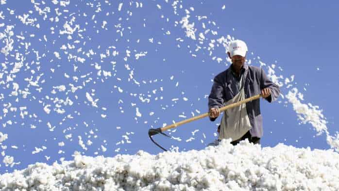  India's cotton exports may rise 27% to 28 lakh bales in 2023-24 season: CAI 