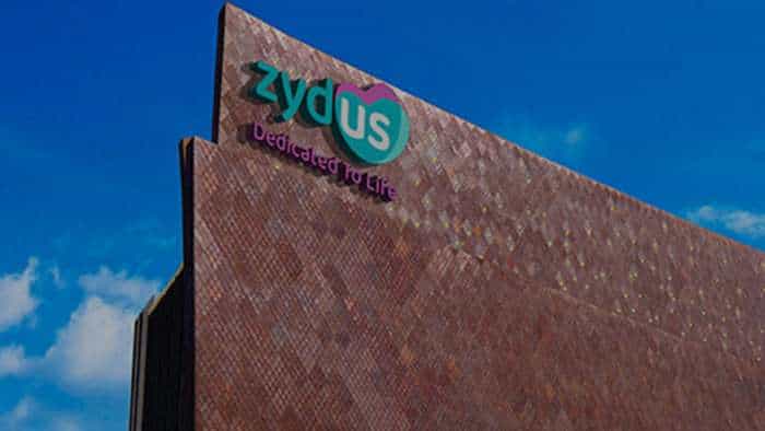 Zydus Wellness Q4 Results Net profit rises nse nifty50 bse sensex