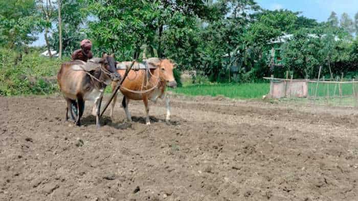 Over 300% hike in India&#039;s budget outlay for agriculture in last 9 years: FAIFA report