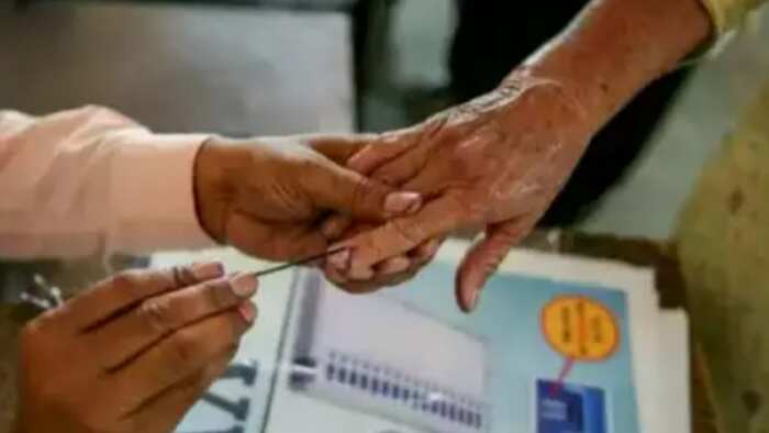 LS Polls Phase 5: Around 36% voter turnout recorded till 1 PM in 49 Lok Sabha seats