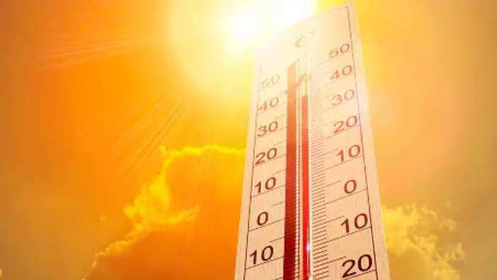  Weather update: IMD Issues red alert, Rajasthan temperature soars; government suggests heatwave safety measures
