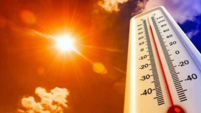 Heatwave conditions to reel over most parts of north India on June 3: IMD