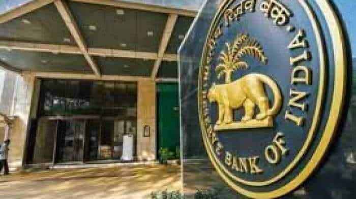  Indian economy poised for potentially stable high growth phase, says RBI's monetary policy panel member 