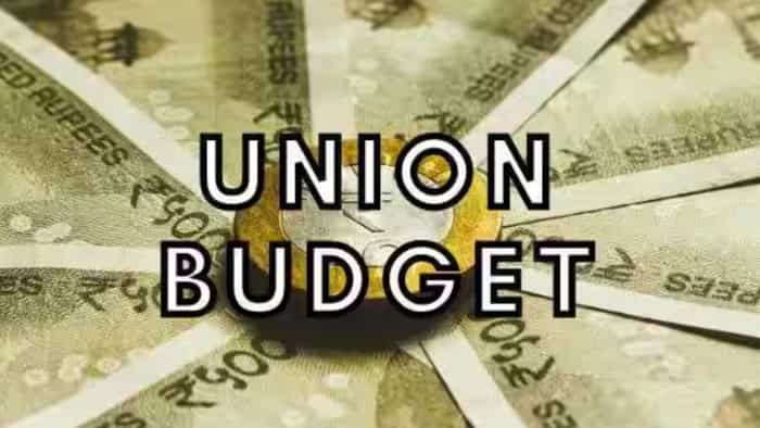 https://www.zeebiz.com/union-budget/news-budget-2024-25-finance-ministers-vision-boosts-infrastructure-and-tourism-but-leaves-hospitality-sector-wanting-more-303271