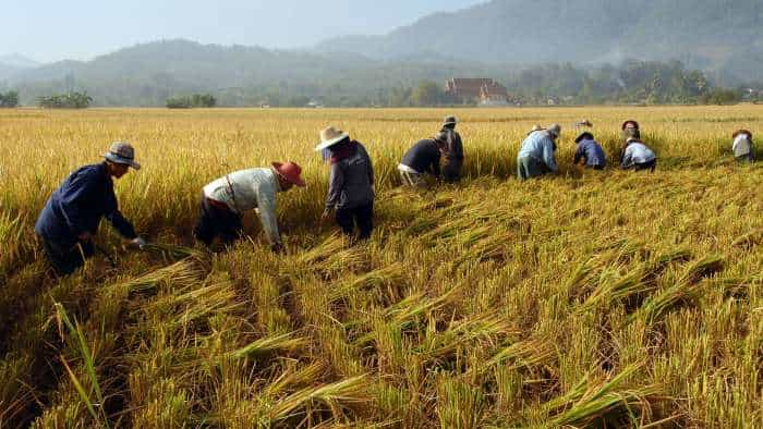 https://www.zeebiz.com/economy-infra/agricultue/news-pm-narendra-modi-to-release-109-high-yielding-climate-resilient-varieties-of-crops-307537