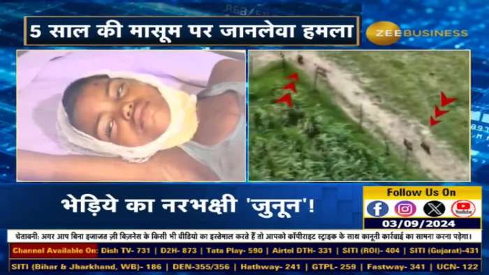 https://www.zeebiz.com/india/video-gallery-terrifying-wolf-attack-5-year-old-girl-targeted-in-bahraich-312533