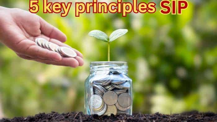 sip top 5 tips to create profits in mutual funds systematic investment plan bse