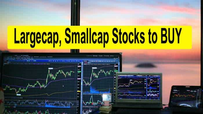 Stocks to BUY for Long Term: Brokerage suggests buying 2 largecap, 3 smallcap stocks - Check targets  