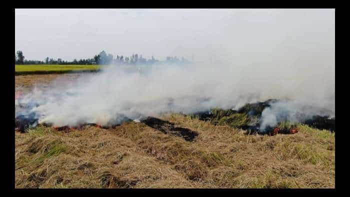 Stubble burning: CAQM empowers DMs to take legal action against lax officials