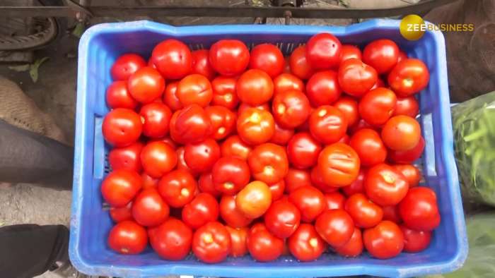 Retail tomato prices drop 22% after October surge as supply strengthens