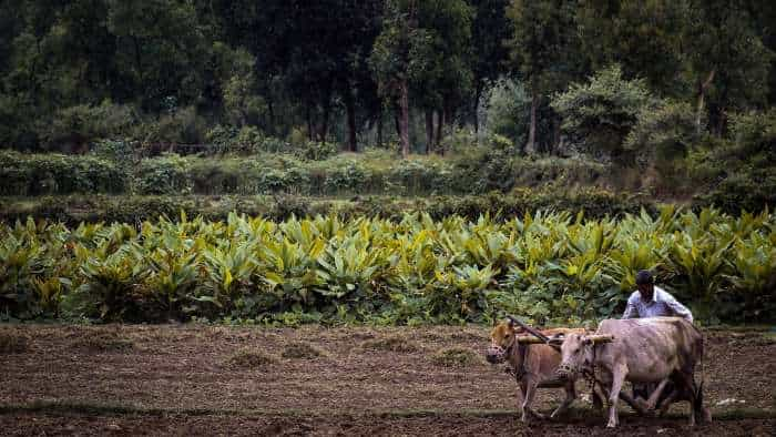 https://www.zeebiz.com/economy-infra/news-cabinet-approves-rs-2481-crore-national-mission-on-natural-farming-328491