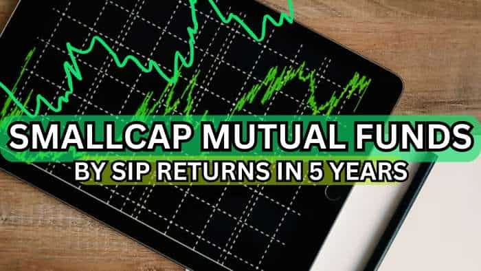 Top Smallcap MFs by SIP Returns: Rs 1,000 monthly investment in these schemes has built Rs 1.4-1.7 lakh corpus in 5 years 