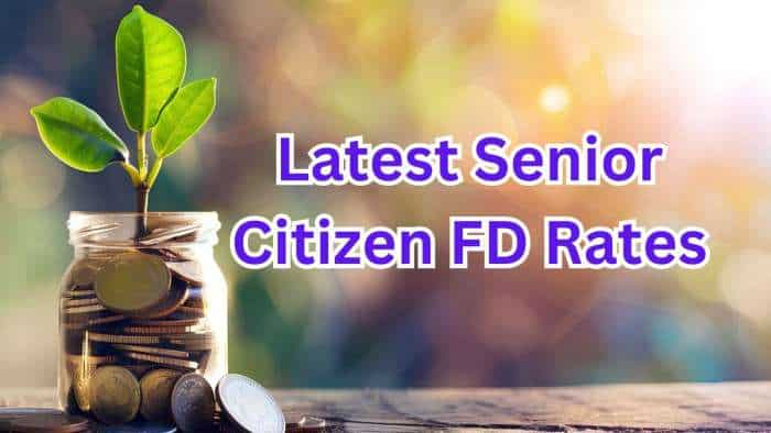 Latest Senior Citizen FD rates: See what major banks like SBI, PNB, Canara Bank, HDFC Bank, BoB and ICICI Bank are providing on fixed deposits