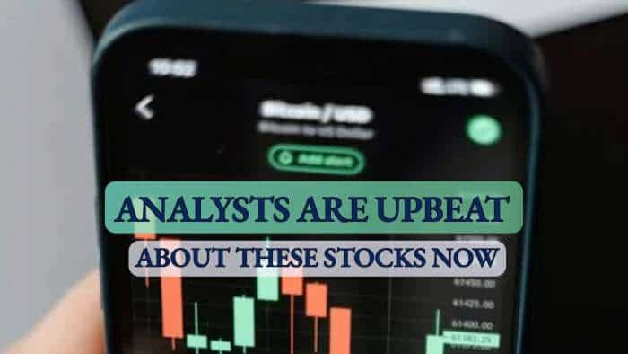 Need stocks to buy for long term? Largecap, midcap, smallcap scrips that analysts like now; note down targets