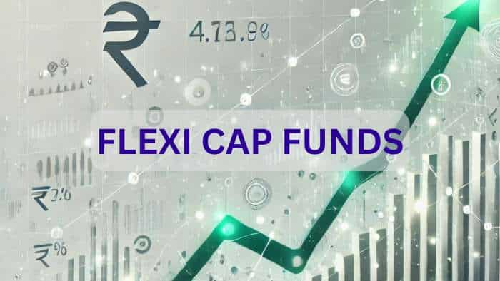 Top 7 Flexi Cap Mutual Funds: Rs 10 lakh investment has grown to Rs 25-37 lakh in 5 years; see list 