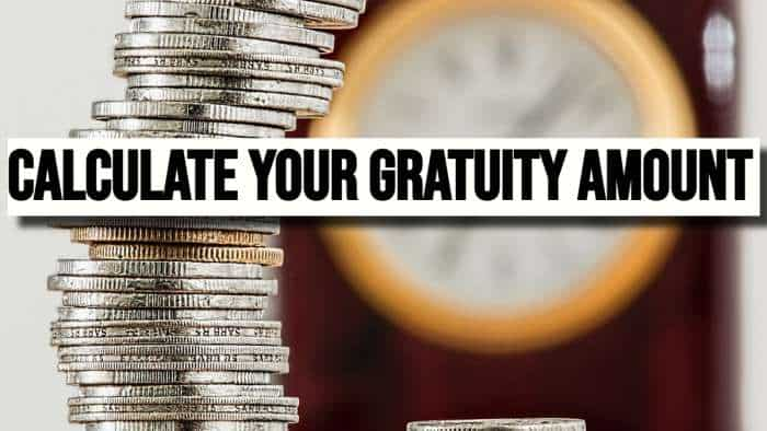  Gratuity Calculator: What will be your gratuity on Rs 45,000 last-drawn basic salary and 6.5 years of service? 