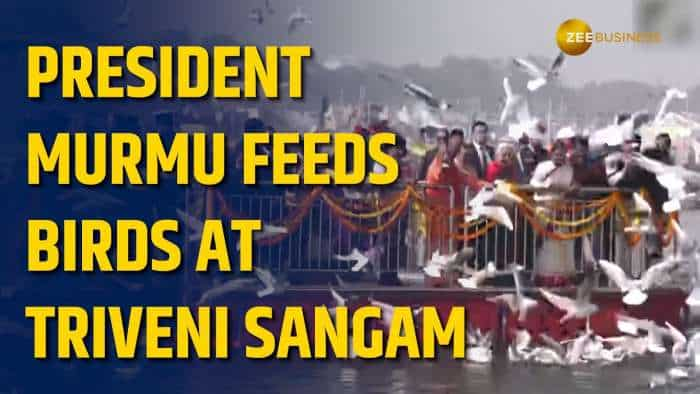 https://www-zeebiz-com.nproxy.org/india/video-gallery-president-droupadi-murmu-feeds-migratory-birds-at-triveni-sangam-345960