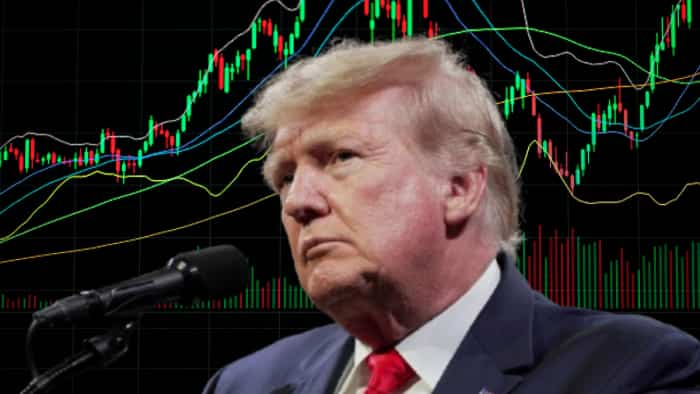 Trump’s 25% tariffs on steel shake global markets; metal stocks under pressure