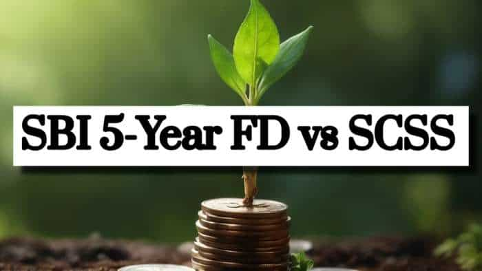 SBI 5-Year FD vs SCSS: Which investment option can offer better returns with quarterly payments on Rs 6,00,000?