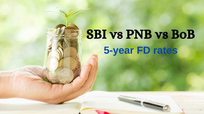 SBI FD vs PNB FD vs BOB FD: Which bank offers highest return on Rs 3 lakh, Rs 6 lakh, and Rs 9 lakh investments in 5 years?