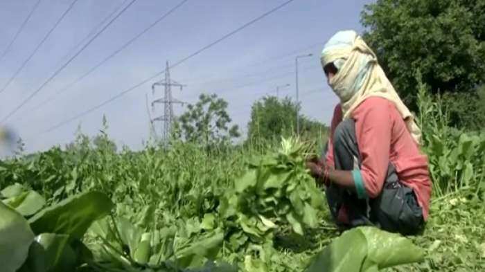 Centre reiterates commitment to farmers&#039; welfare; next meeting on May 4