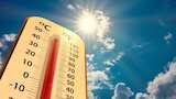 https://www.zeebiz.com/india/news-delhi-records-highest-minimum-temperature-in-three-years-356210