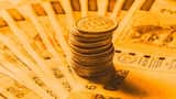 https://www.zeebiz.com/personal-finance/news-top-5-mid-and-small-cap-mutual-funds-in-1-year-carg-return-calculator-comparison-on-inr-rs-300000-lump-sum-one-time-investment-bse-nifty-nse-nifty-invesco-uti-nippon-motilal-oswal-edelweiss-aum-nav-356345