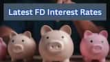 https://www.zeebiz.com/personal-finance/banking/photo-gallery-3-year-fd-rates-2025-compare-sbi-hdfc-icici-pnb-post-office-returns-5-5-lakh-357517