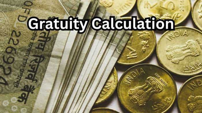 Gratuity Calculation: What will be your gratuity for Rs 42,000, Rs 53,000, and Rs 64,000 last-drawn salary after 6 years and 7 months of service?