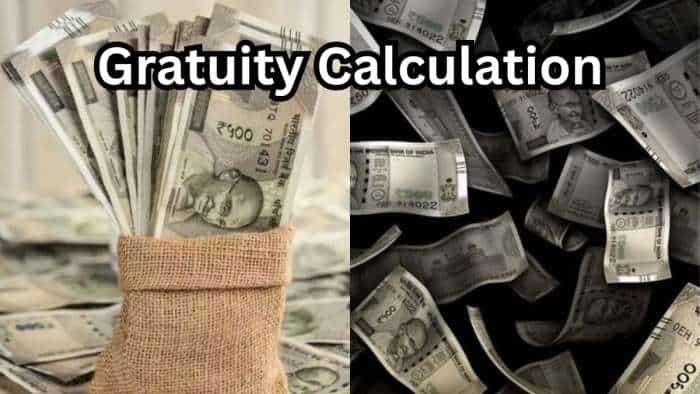 Gratuity Calculation: What will be your gratuity for Rs 32,000, Rs 54,000, and Rs 66,000 last-drawn salary after 6 years and 8 months of service?