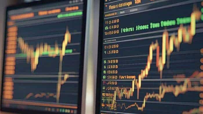 Should you buy SRF, Schaeffler shares for long term? Is LIC a good technical pick now?