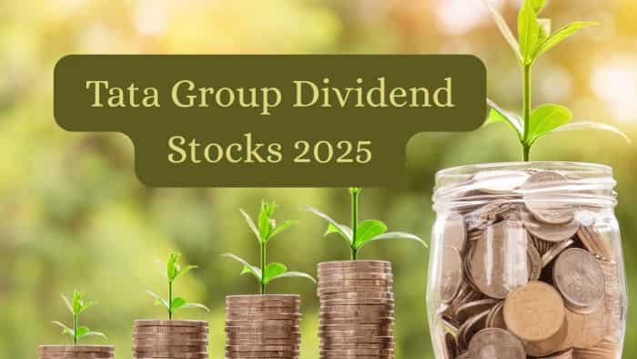  Tata Group declares dividends up to 7500% across 10 companies in Q4 FY25; check record dates 