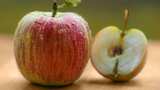 https://www.zeebiz.com/economy-infra/news-fruit-traders-in-prayagraj-decided-to-boycott-turkish-apples-362730