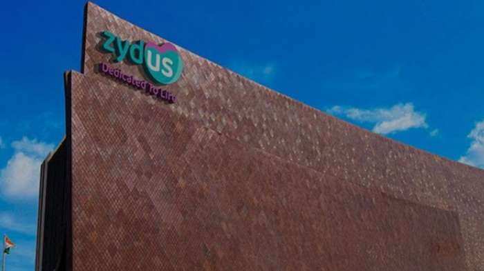  Zydus Wellness declares Rs 6/share dividend; catch details here 