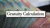https://www.zeebiz.com/personal-finance/photo-gallery-gratuity-calculator-what-will-be-your-gratuity-amount-for-inr-rs-60000-rs-70000-rs-80000-last-drawn-salary-after-9-years-6-months-of-service-for-resignation-or-early-retirement-364197