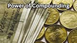 https://www.zeebiz.com/personal-finance/photo-gallery-mutual-fund-sip-power-of-compounding-retirement-corpus-maturity-calculator-how-quickly-can-you-generate-inr-rs-7000000-with-6000-monthly-investment-364837